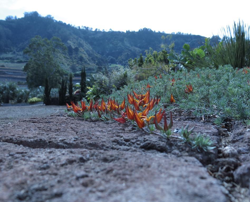 Haciendas Del Valle - Kentias Valle de Guerra