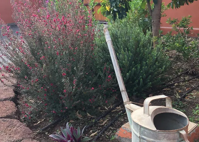 Haciendas Del Valle - Las Kentias