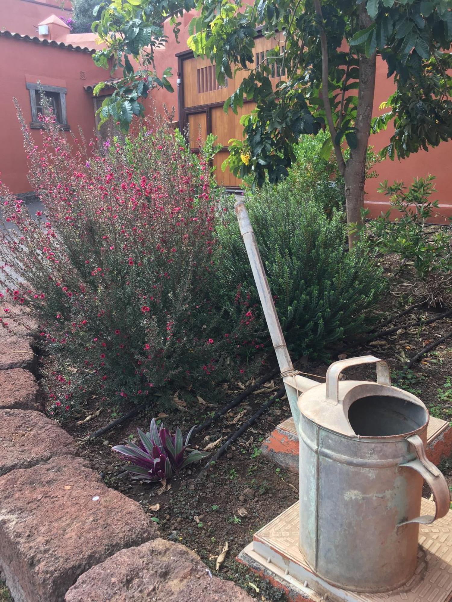 Haciendas Del Valle - Kentias Country house *
