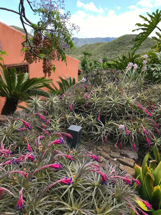 Haciendas Del Valle - Kentias *