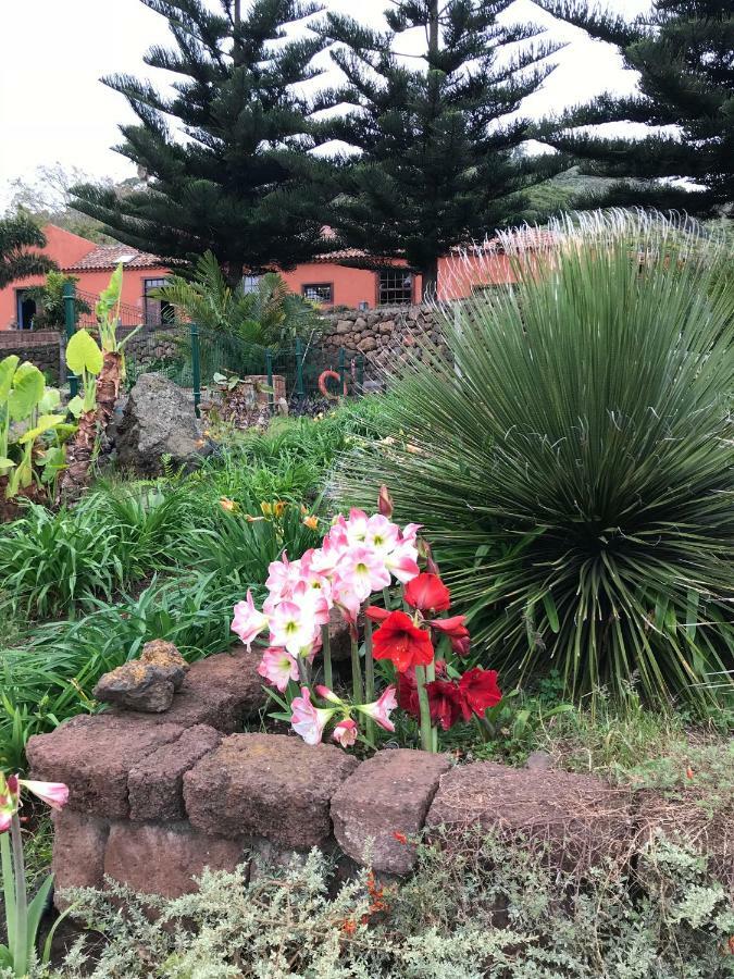 Haciendas Del Valle - Kentias *