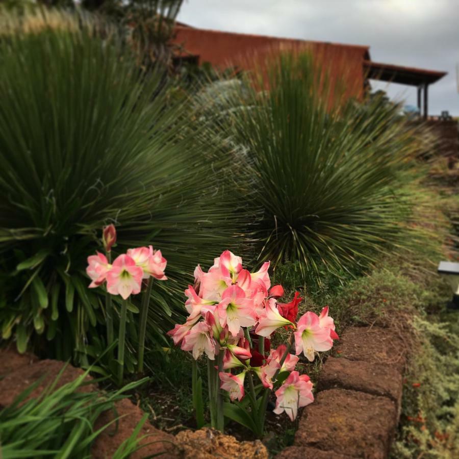 Haciendas Del Valle - Kentias Country house