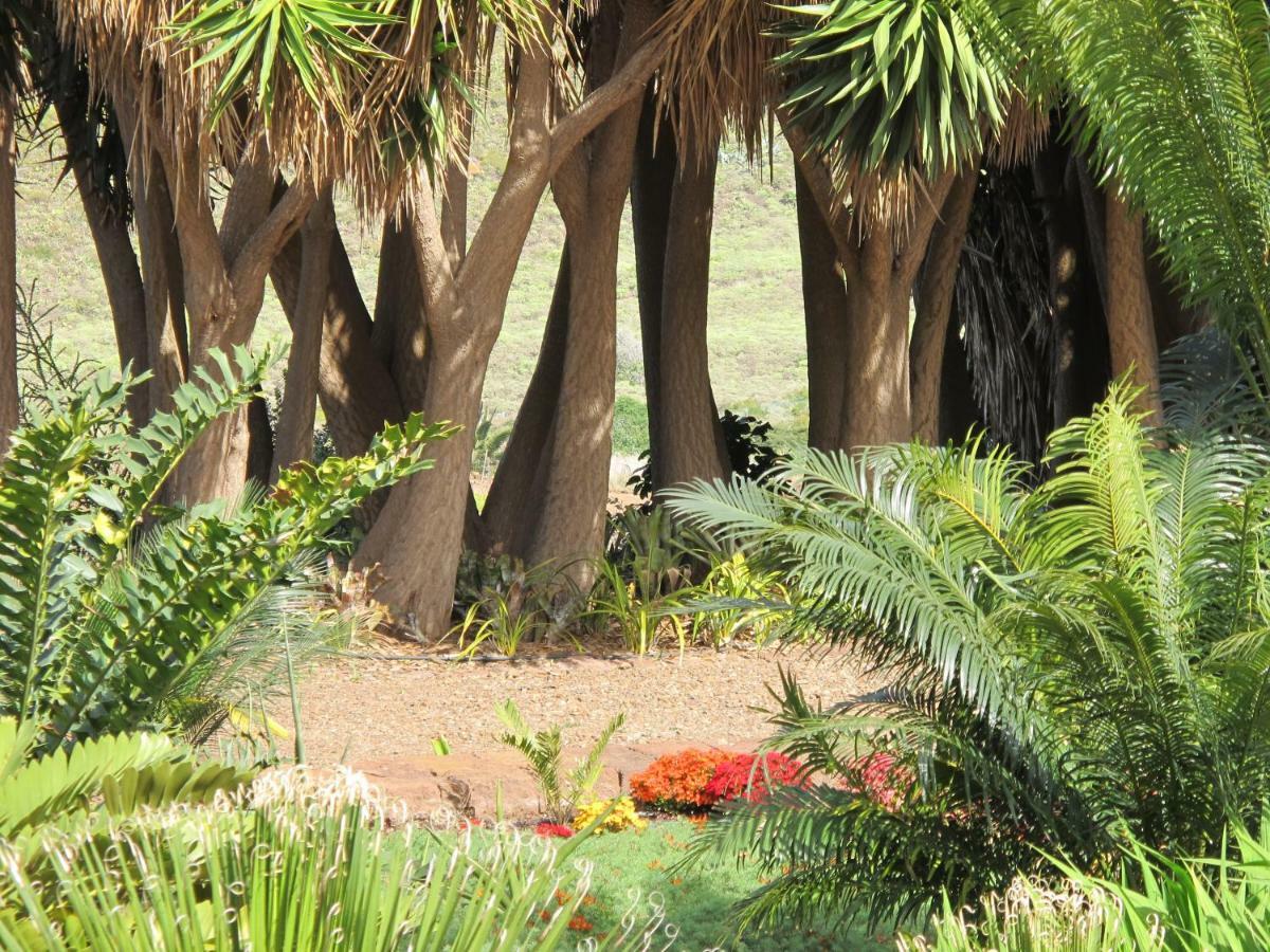 Country house Haciendas Del Valle - Kentias *