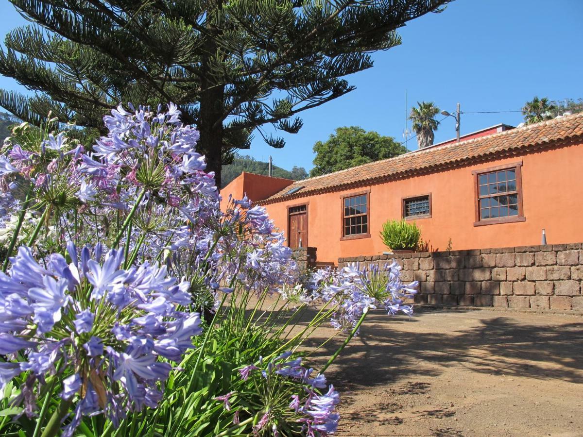 Haciendas Del Valle - Kentias