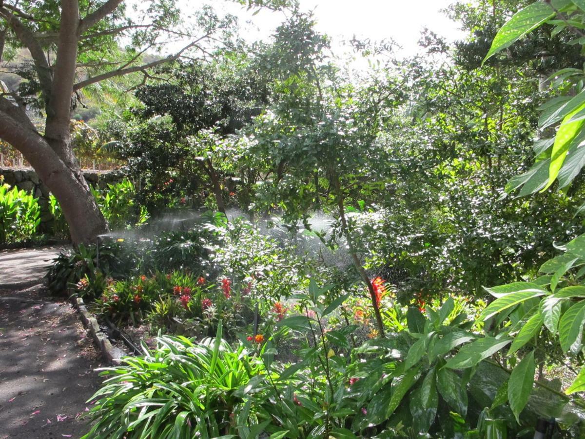 Haciendas Del Valle - Kentias Country house *