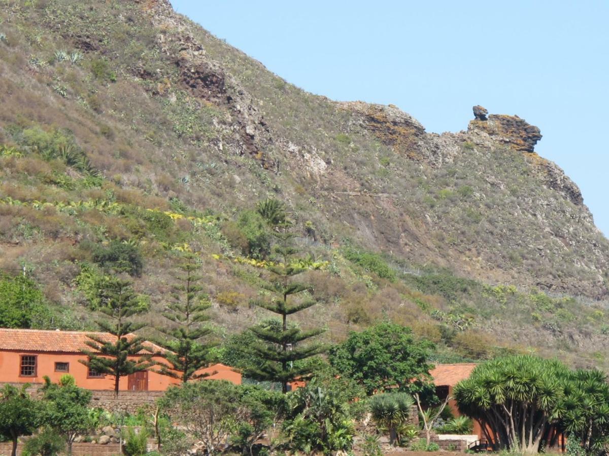 Haciendas Del Valle - Kentias