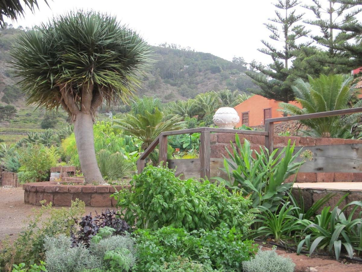 Haciendas Del Valle - Kentias