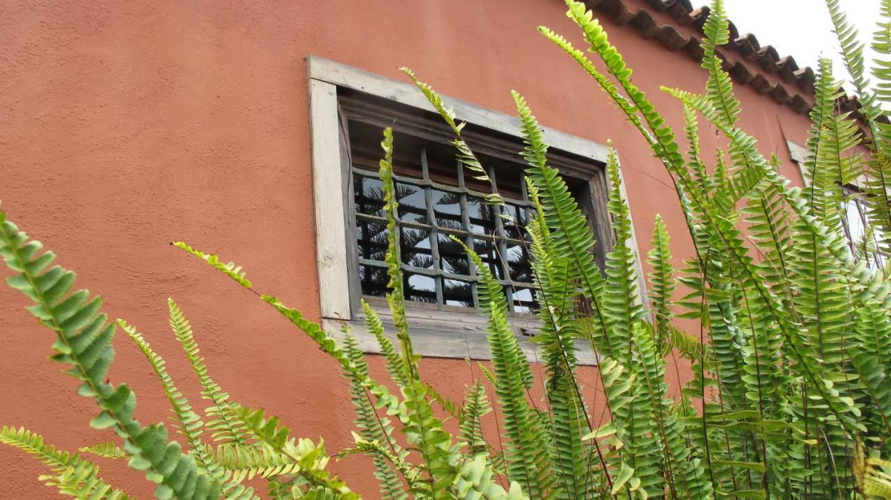 Gospodarstwo wiejskie Haciendas Del Valle - Kentias Valle de Guerra