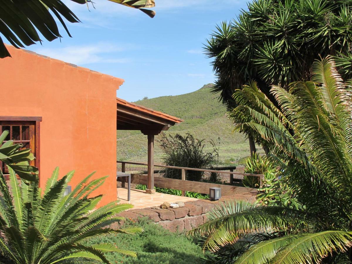 Haciendas Del Valle - Kentias *